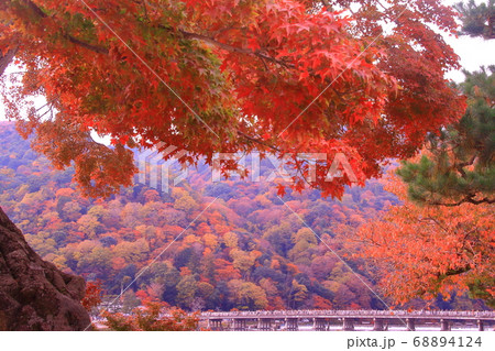 嵐山(京都市右京区)渡月橋周辺の紅葉 嵐山(京都市右京区)渡月橋周辺の紅葉 68894124