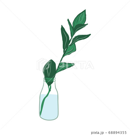 Isolated leaf of plant in glass bottle 68894355