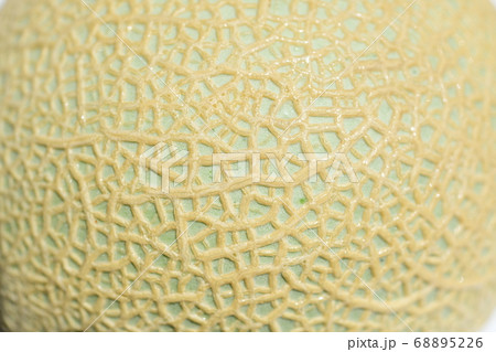 美しいエメラルド色のメロンの果皮表面 食べ物イメージ素材の写真素材