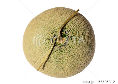 美しいエメラルド色のメロン 食べ物イメージ素材の写真素材