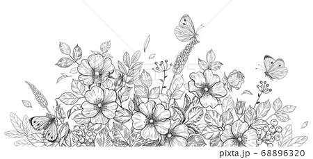 Hand Drawn Wild Flowers Dog Rose And Butterfliesのイラスト素材 6863