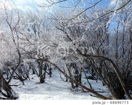 霧氷 多紀連山（兵庫県丹波篠山市） 68896773
