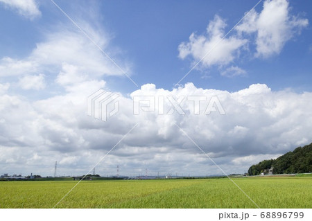 稲作　茨城県ひたちなか市 68896799