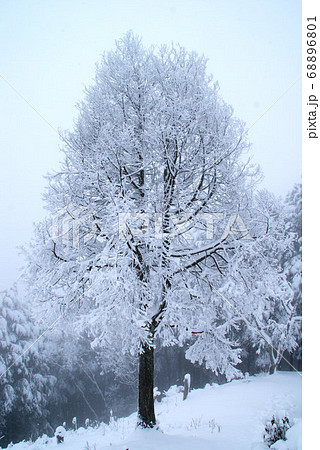 積雪時の多紀連山(兵庫県丹波篠山市) 積雪時の多紀連山(兵庫県丹波篠山市) 68896801