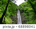 夏の玉簾の滝 68898041