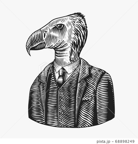 California condor gentleman. American Bird in costume. Fashion animal character. Hand drawn vintage 68898249