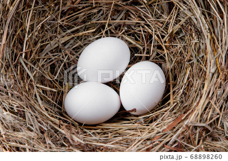 White chicken eggs in a straw nest 68898260
