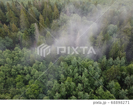 top view of a burning green forest, aerial photo 68898271