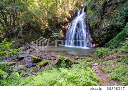 馬場の滝　新緑・清流 68898347