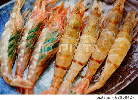 土エビ 土エビ 68898427