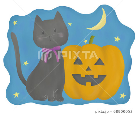 黒猫とかぼちゃのイラスト素材 [68900052] - PIXTA