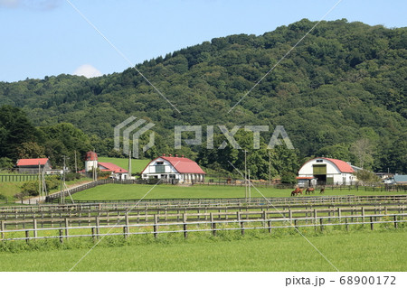 北海道　日高地方　牧場のある風景 68900172