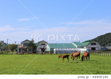 北海道 日高地方 牧場のある風景 北海道 日高地方 牧場のある風景 68900180