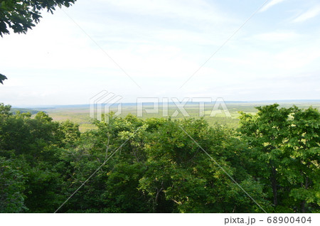 釧路湿原（釧路湿原展望台／北海道釧路市北斗） 68900404