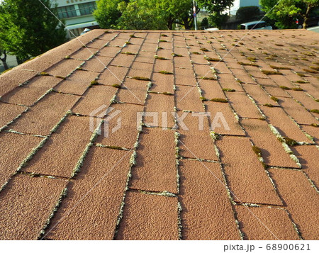 コロニアル屋根に苔は大敵です 68900621