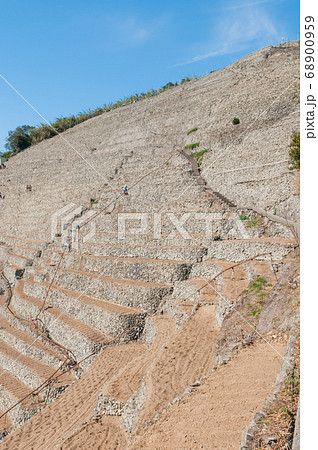 遊子水荷浦の段々畑と宇和海 遊子水荷浦の段々畑と宇和海 68900959