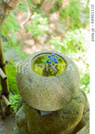 伊予の名勝 臥龍山荘 伊予の名勝 臥龍山荘 68901110