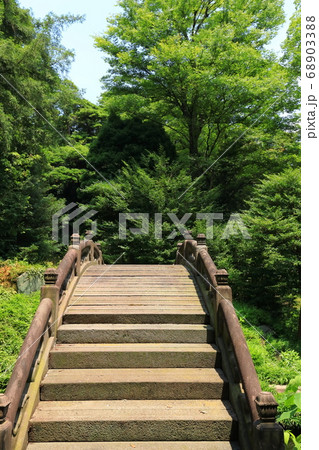 東京　小石川後楽園 68903388