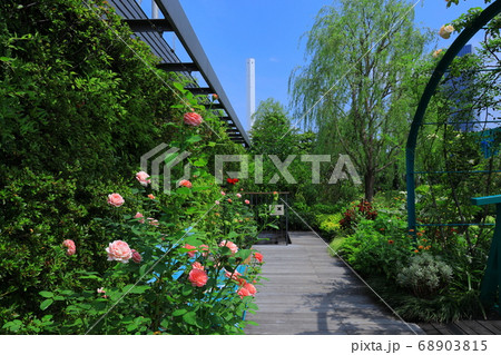 西武池袋空中庭園「食と緑の空中庭園」 68903815