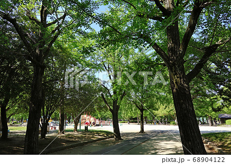住宅街に広がる緑豊かな、千種公園〈愛知県名古屋市〉 住宅街に広がる緑豊かな、千種公園〈愛知県名古屋市〉 68904122