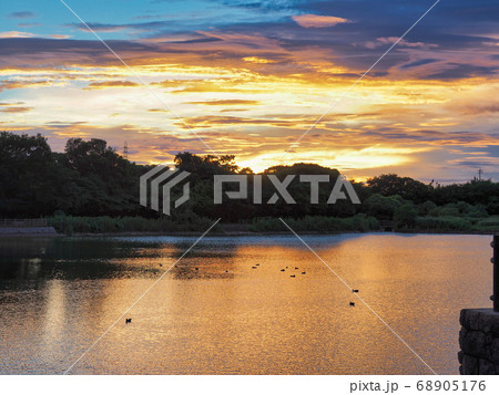 池のある公園のゴールデンアワー 池のある公園のゴールデンアワー 68905176