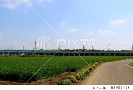 麦畑と青空　春の日　高架線　田舎 68905413