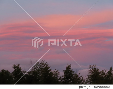 竹林の上にたなびく赤い雲の写真素材