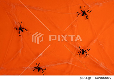 Little toys bats on dry tree branch with spider net for Halloween 68906065