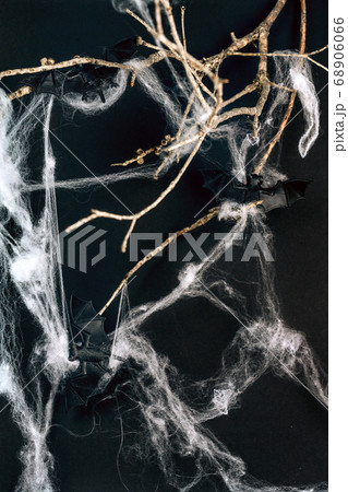 Little toys bats on dry tree branch with spider net for Halloween Little toys bats on dry tree branch with spider net for Halloween 68906066