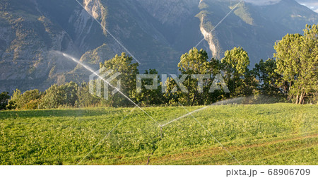 Sprinkler watering a lawn in Switserland Sprinkler watering a lawn in Switserland 68906709