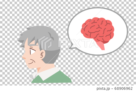 健康な高齢者の脳のイラスト 健康な高齢者の脳のイラスト 68906962