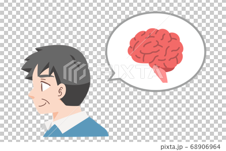 健康な中年男性の脳のイラスト 健康な中年男性の脳のイラスト 68906964