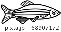 ゼブラフィッシュ 68907172
