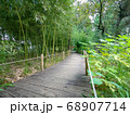 竹林の散策道 68907714