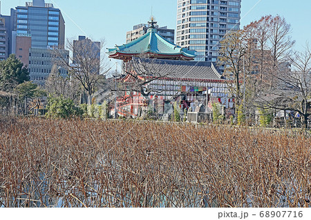 不忍池弁天堂（上野公園） 68907716