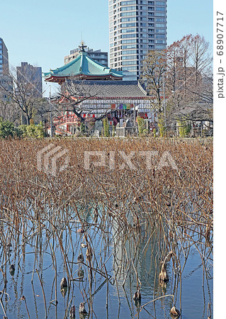 不忍池弁天堂(上野公園) 不忍池弁天堂(上野公園) 68907717