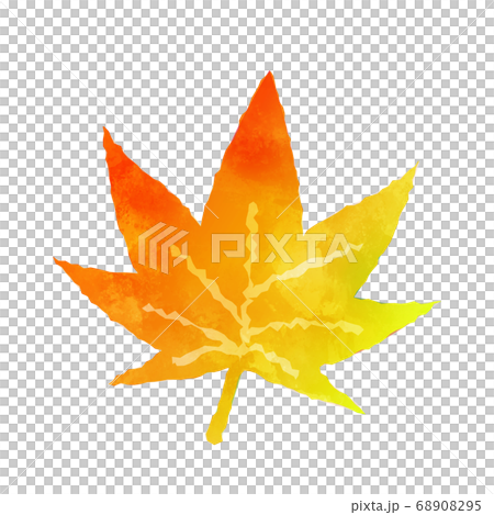 手繪水彩風格楓 68908295