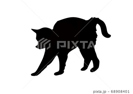 black cat logo on white background black cat logo on white background 68908401