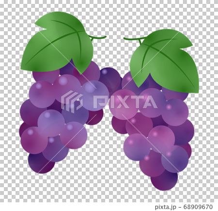 Grape  68909670