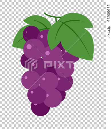 Grape Grape 68909685