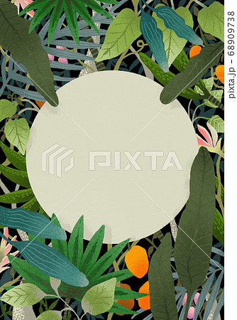ボタニカルなジャングル 風植物フレームのイラスト素材