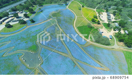 上空から撮影した「国営ひたち海浜公園」 68909754
