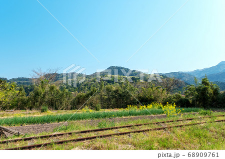 旧国鉄倉吉線  泰久寺付近の春風景 68909761