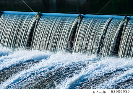 玉名の白石堰に生息する野鳥白鷺 玉名の白石堰に生息する野鳥白鷺 68909959