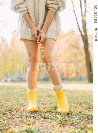 autumn yellow leaf fall conceptual girl park 68910420