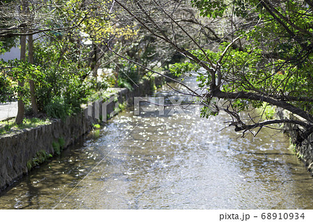 木々の間を流れる運河 68910934