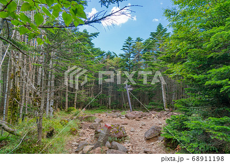 茶臼山山頂(八ヶ岳) 茶臼山山頂(八ヶ岳) 68911198