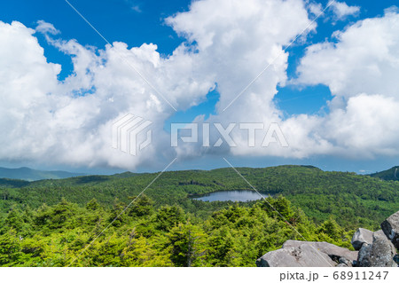 高見石から見た白駒池(八ヶ岳) 高見石から見た白駒池(八ヶ岳) 68911247