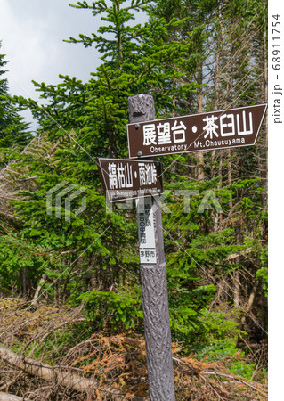 縞枯山山頂(八ヶ岳) 縞枯山山頂(八ヶ岳) 68911754