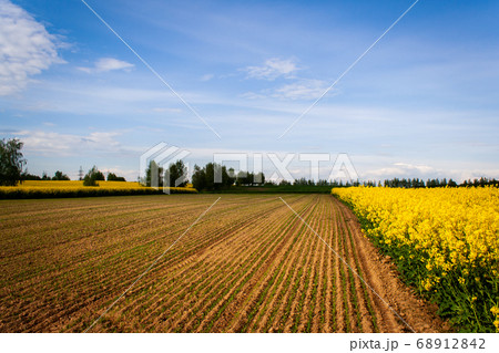 Cultivation of agricultural crops 68912842